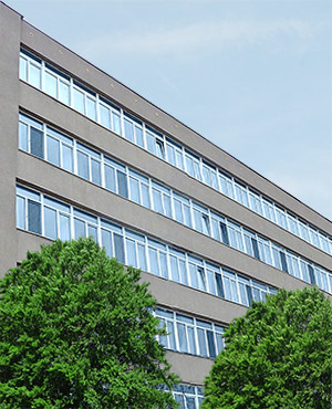 CareersInBG